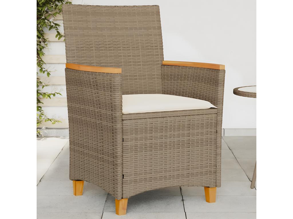 Chaises de jardin coussins lot de 2 beige résine tressée bois 80700OKLC