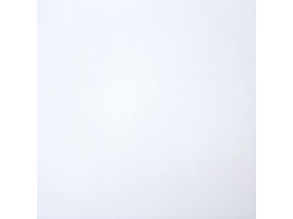 Lot de 2 chaises en bois coloris blanc - Longueur 46.5 x Profondeur 52 x Hauteur 87 cm 54663SASG