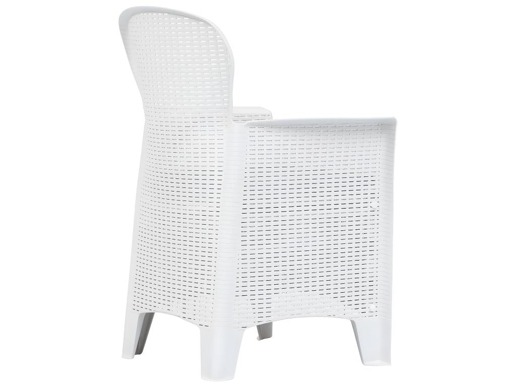 Chaise de jardin lot de 2 coussins Blanc Plastique Aspect rotin 98909RDTU
