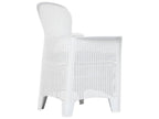 Chaise de jardin lot de 2 coussins Blanc Plastique Aspect rotin 98909RDTU
