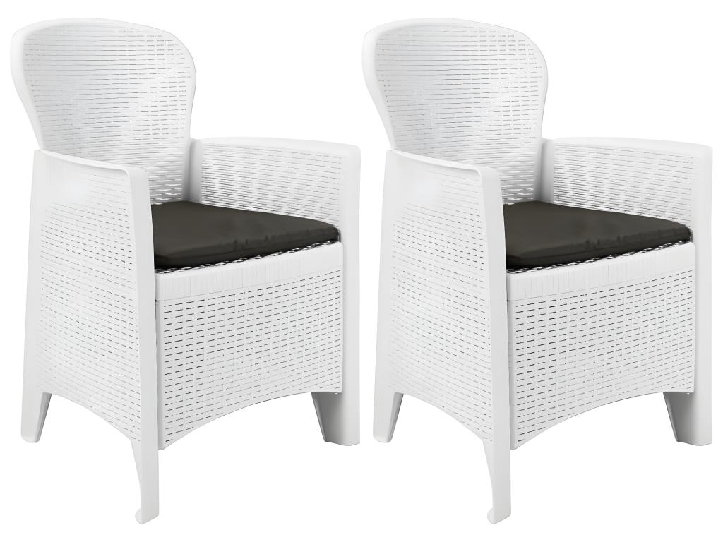 Chaise de jardin lot de 2 coussins Blanc Plastique Aspect rotin 98909RDTU