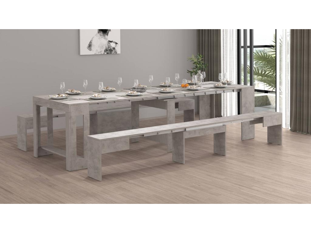 Banc Calmetop Lot de 2 Sièges pour table à manger Bancs extensibles 290x25h45 cm Gris 48281KTCK