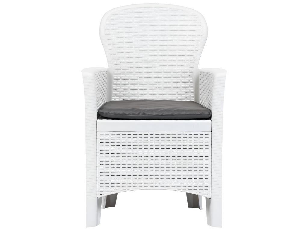 Chaise de jardin lot de 2 coussins Blanc Plastique Aspect rotin 98909RDTU