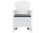 Chaise de jardin lot de 2 coussins Blanc Plastique Aspect rotin 98909RDTU